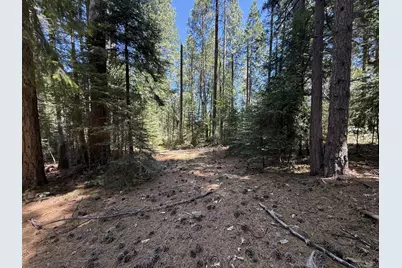 11250 Washington Road, Nevada City, CA 95959 - Photo 4