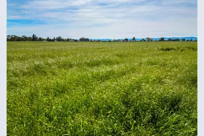 0 Hwy 16, Woodland, CA 95695 - Photo 10