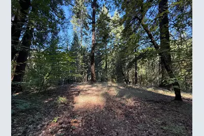 0 Blue Canyon Road, Emigrant Gap, CA 95715 - Photo 1