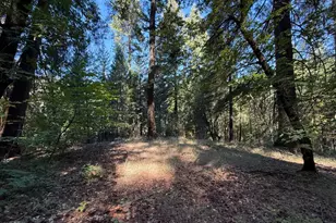 0 Blue Canyon Rd, Emigrant Gap, CA 95715 - Photo 1