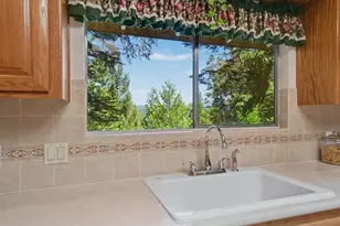 16502 Meadow Vista Dr, Pioneer, CA 95666 - Photo 16