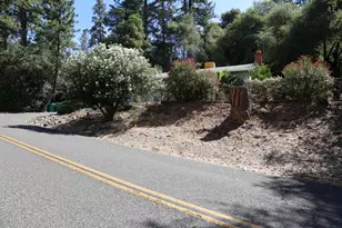 3405 Big Cut Rd, Placerville, CA 95667 - Photo 12