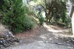 3405 Big Cut Rd, Placerville, CA 95667 - Photo 4