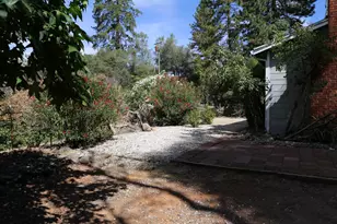 3405 Big Cut Rd, Placerville, CA 95667 - Photo 30