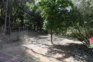 3405 Big Cut Rd, Placerville, CA 95667 - Photo 10