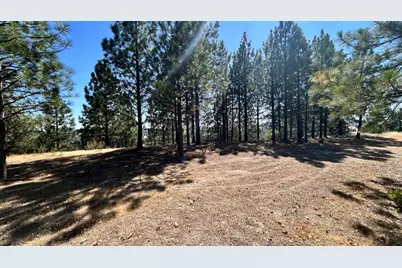 773 Red Fox Road, Mountain Ranch, CA 95246 - Photo 2