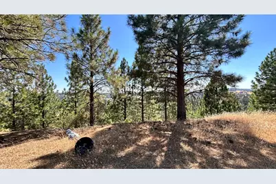 773 Red Fox Road, Mountain Ranch, CA 95246 - Photo 4