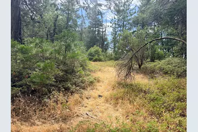 5 Debron Court, Pollock Pines, CA 95726 - Photo 20