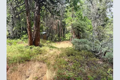 5 Debron Court, Pollock Pines, CA 95726 - Photo 18