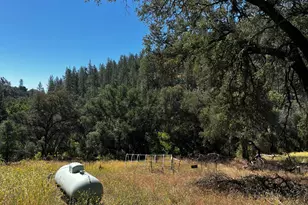 5569 CA-49, Cool, CA 95614 - Photo 14