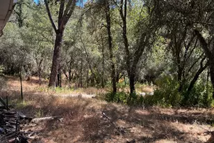 5569 CA-49, Cool, CA 95614 - Photo 18