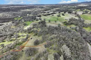 790 Los Verjeles Rd, Bangor, CA 95901 - Photo 60