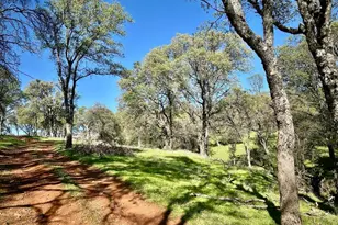 790 Los Verjeles Rd, Bangor, CA 95901 - Photo 74