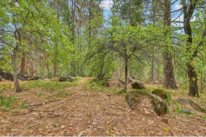 15984 Brooks Road, Grass Valley, CA 95945 - Photo 76