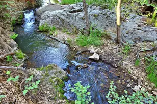 15729 Little Valley Rd, Grass Valley, CA 95949 - Photo 42
