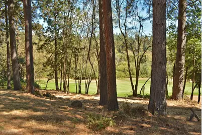 11425 Lower Circle Drive, Grass Valley, CA 95949 - Photo 4