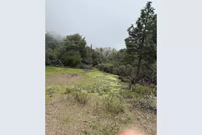 0 Jackass Ridge Rd, Coulterville, CA 95311 - Photo 8
