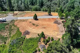 1060 Moffett Ranch Rd, Colfax, CA 95713 - Photo 1