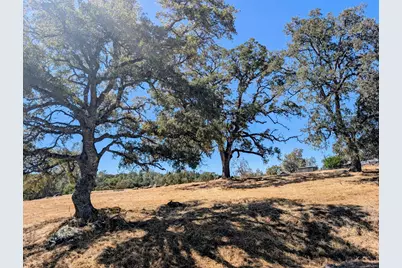1021 Aaron Cool Drive, Cool, CA 95614 - Photo 4