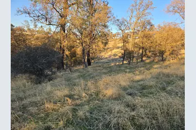 0 Avacado Road, Bangor, CA 95914 - Photo 8