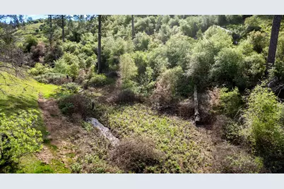 12778 Highway 26, Mokelumne Hill, CA 95245 - Photo 12