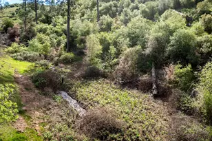 12778 Hwy 26, Mokelumne Hill, CA 95245 - Photo 12