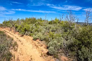 12778 Hwy 26, Mokelumne Hill, CA 95245 - Photo 28