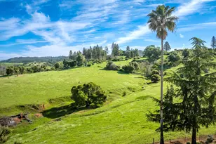 12778 Hwy 26, Mokelumne Hill, CA 95245 - Photo 4