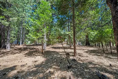 5695 Juarez Road, Pollock Pines, CA 95726 - Photo 54