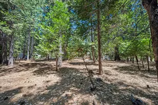 5695 Juarez Rd, Pollock Pines, CA 95726 - Photo 54