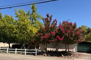 6317 Grant Ave, Carmichael, CA 95608 - Photo 2