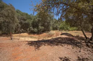 14158 Neptune Ln, Browns Valley, CA 95918 - Photo 86
