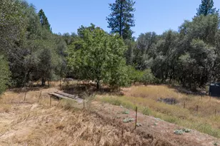 14158 Neptune Ln, Browns Valley, CA 95918 - Photo 74