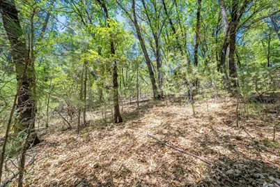 0 Parcel #A Sherwood Way, Meadow Vista, CA 95722 - Photo 14
