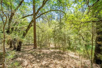 0 Parcel #A Sherwood Way, Meadow Vista, CA 95722 - Photo 12