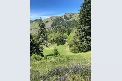 41345 State Highway 36, Bridgeville, CA 95526 - Photo 1