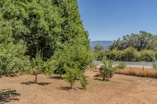 14206 Williams Rd, Pioneer, CA 95666 - Photo 66