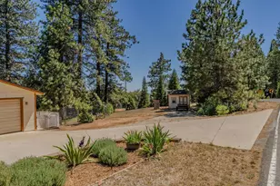 14206 Williams Rd, Pioneer, CA 95666 - Photo 4