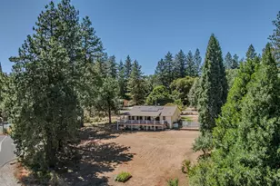 14206 Williams Rd, Pioneer, CA 95666 - Photo 88