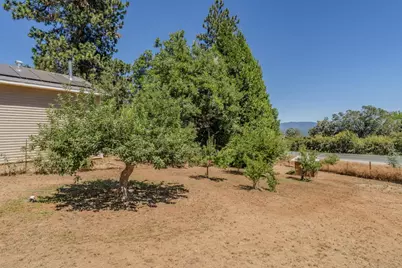 14206 Williams Road, Pioneer, CA 95666 - Photo 68