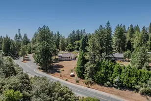 14206 Williams Rd, Pioneer, CA 95666 - Photo 90