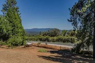 14206 Williams Rd, Pioneer, CA 95666 - Photo 76