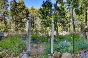 15836 Mountain View Dr, Nevada City, CA 95959 - Photo 44