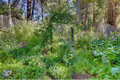 15836 Mountain View Drive, Nevada City, CA 95959 - Photo 48