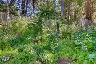 15836 Mountain View Dr, Nevada City, CA 95959 - Photo 48