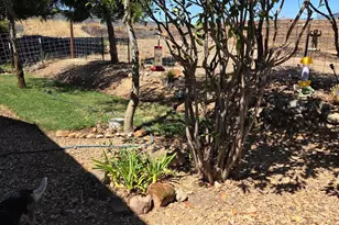 Calaveritas Rd, San Andreas, CA 95249 - Photo 16