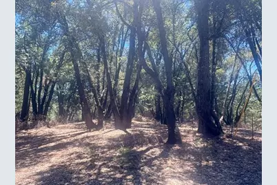 0 Middle Camp, Twain Harte, CA 95383 - Photo 4