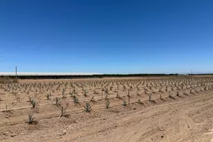 15942 N Jack Tone Rd, Lodi, CA 95240 - Photo 6