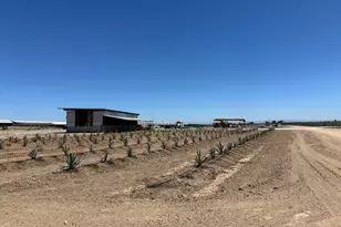 15942 N Jack Tone Rd, Lodi, CA 95240 - Photo 10