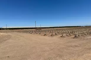 15942 N Jack Tone Rd, Lodi, CA 95240 - Photo 50